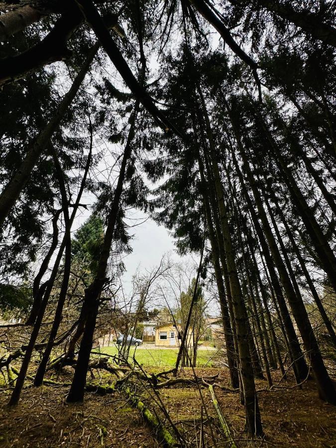 Ferienhaus Biber Godendorf  المظهر الخارجي الصورة